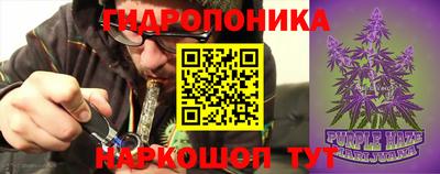 молекула духа Владивосток